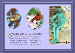 Wild Bird Center of Chapel Hill